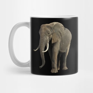 Elephant in Kenya / Africa Mug